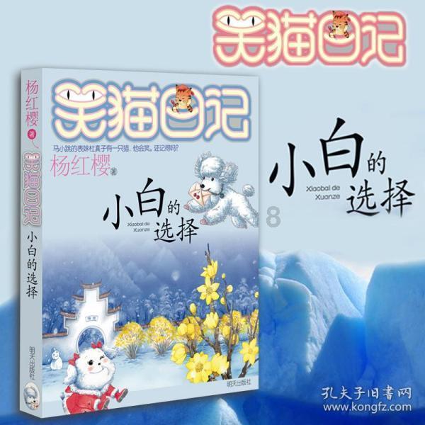 公子是女生