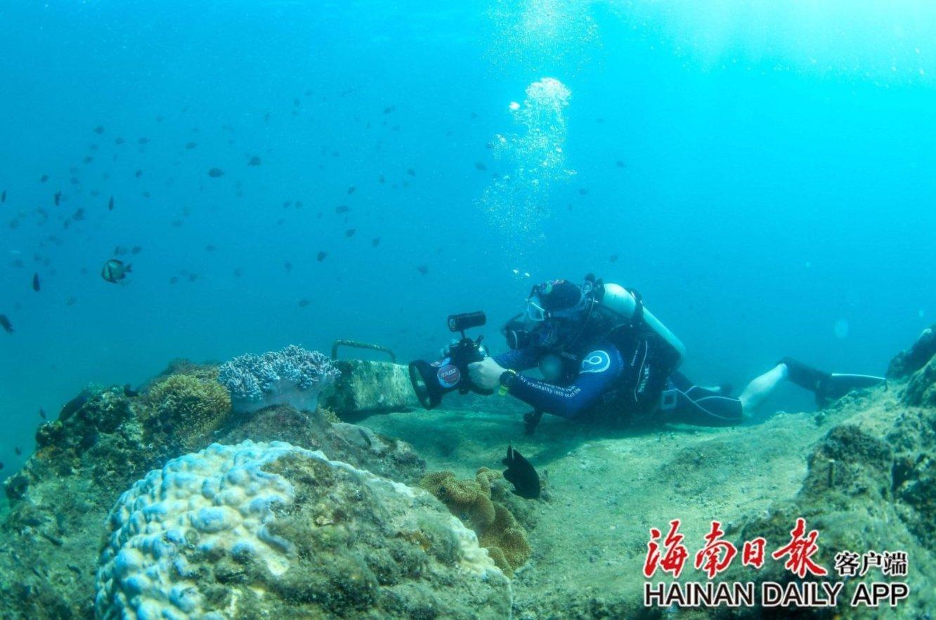 小熊猫足球冒险