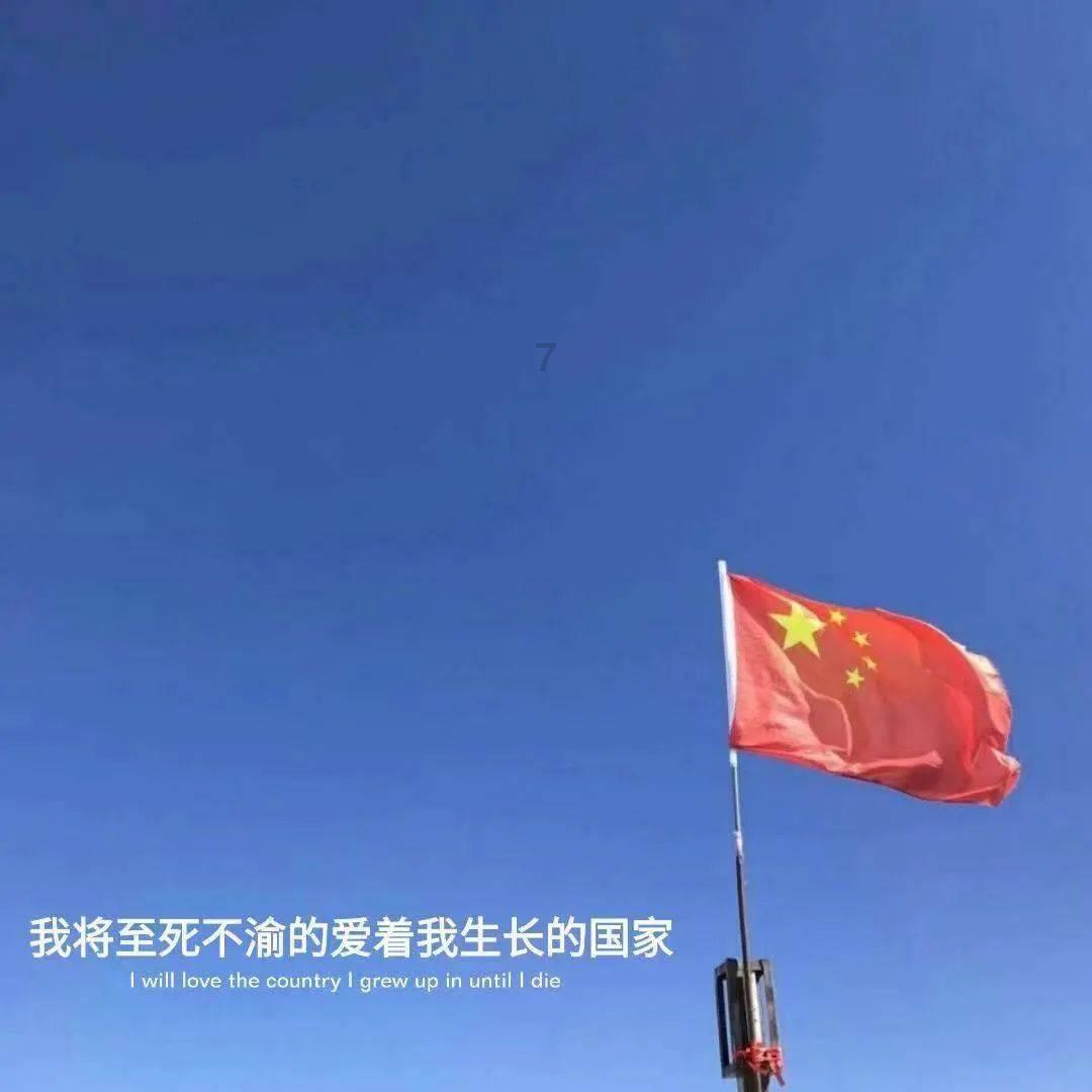 虫虫助手下载